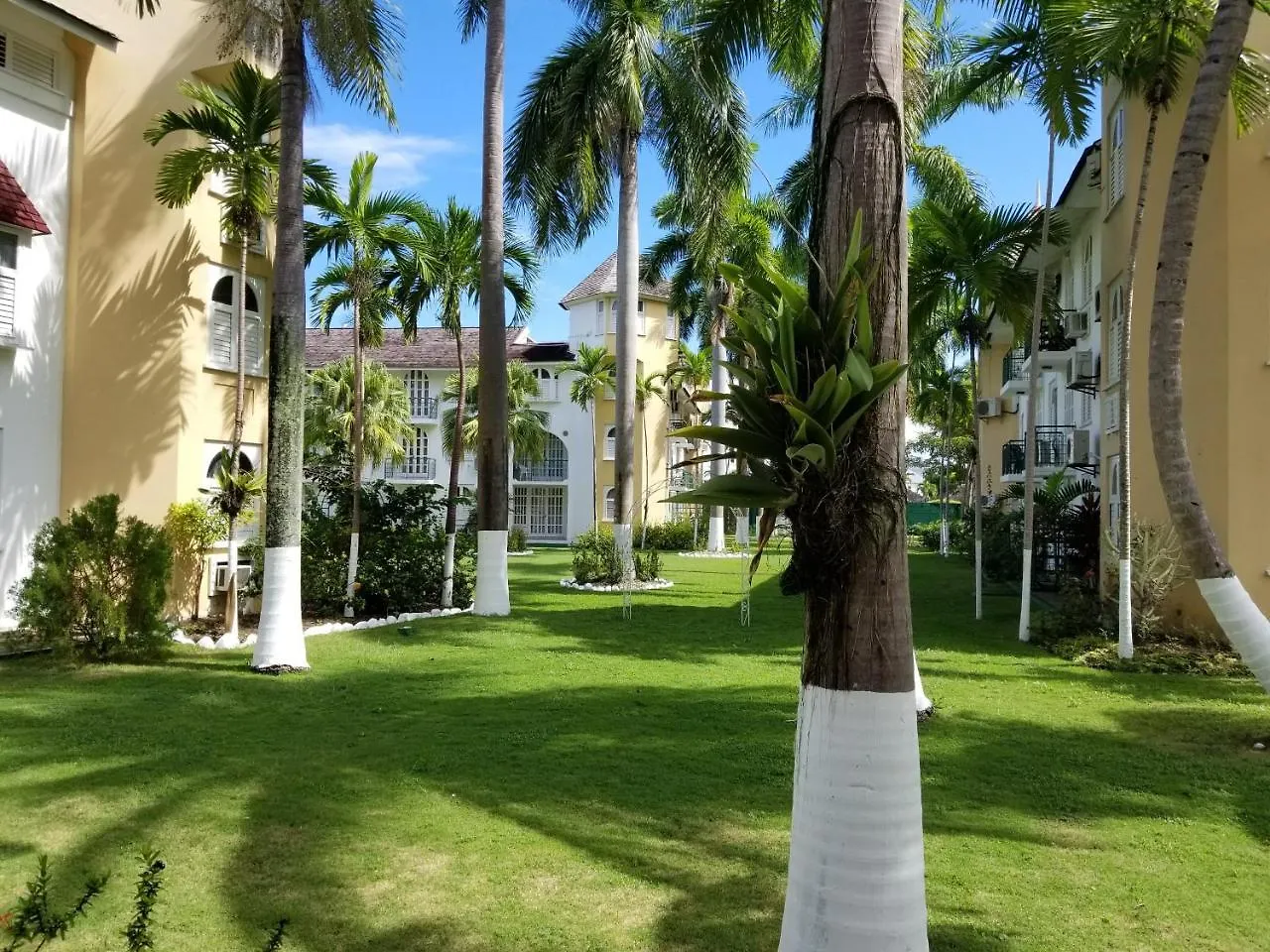 Oasis At Sandcastles Adults Only Luxury King Suite 3*, Ocho Rios Jamaica